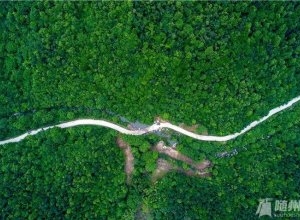 �����S�h�ĝM(m��n)���[���ؾ��������f(w��n)��ɽ��Ϫ��